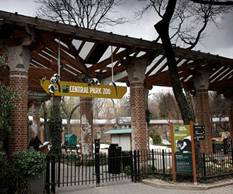 Zoo central park Guia Nueva York en 3 dias