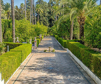 Jardín del Real Alcázar de Sevilla