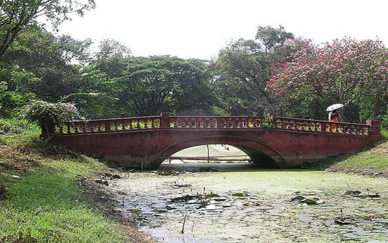Giardino Botanico di Calcutta